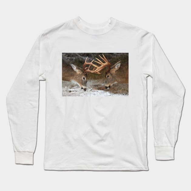 White-tailed deer fight Long Sleeve T-Shirt by Jim Cumming